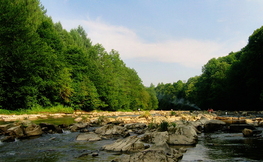 Rzeka Solinka, Fot. Łukasz Barzowski