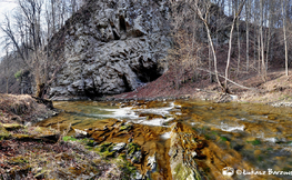 Jaskinia w Rosolinie nad potokiem Czarnym
