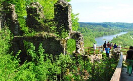 Ruiny zamku Kmitów na Górze Sobień. Źródło: Internet
