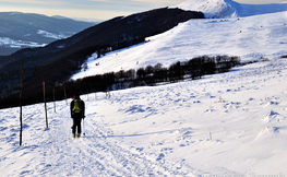 Na nartach Skiturowych też można zwiedzać Bieszczady, Fot. Łukasz Barzowski