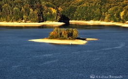 Wyspa Zajęcza na Jeziorze Solińskim, Fot. Łukasz Barzowski