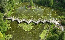 Arboretum w Bolestraszycach - widok z lotu ptaka.