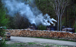Wypał węgla drzewnego, Fot. Łukasz Barzowski
