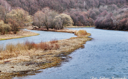 Rzeka San z mostu w Rajskim, Fot. Łukasz Barzowski