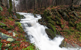 Wodospad Szepit na potoku Hylaty, Fot. Łukasz Barzowski