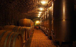 Nowoczesne procesy przetwórstwa winiarskiego