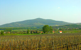 Góra Tokaj i tysiące winorośli - wycieczka 1-dniowa z Bieszczad