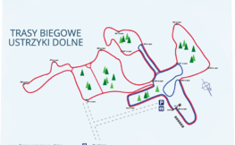 Mapa przedstawiająca trasy do uprawiania narciarstwa biegowego w Ustrzykach Dolnych, źródło Internet