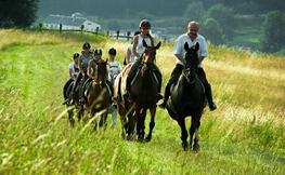 Uczestnicy rajdu konnego organizowanego przez jedną z Bieszczadzkich stadni koni, źródło Internet