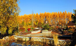 Arboretum w Bolestraszycach jesienią.