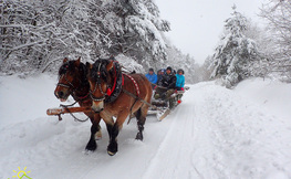 Zimowy kulig organizowany przez Biuro Podróży Bieszczader, źródło Internet
