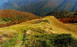 Kolory bieszczadzkiej jesieni, Fot. Łukasz Barzowski